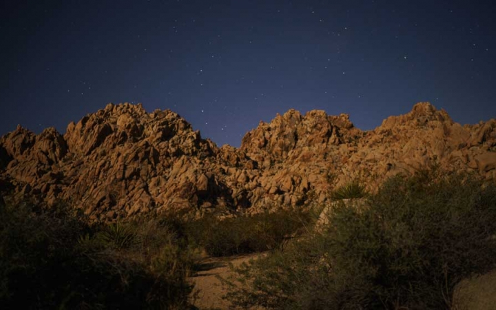 Shrubs appear before large rocky formations, which are illuminated by a dark blue, starry sky.